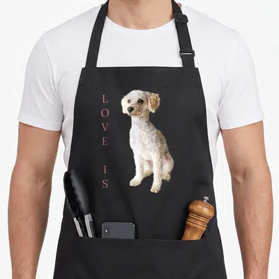 Toy dog apron - Vertical pink LOVE IS text beside a white and tan poodle photo — shown on a black cotton canvas apron against a white background