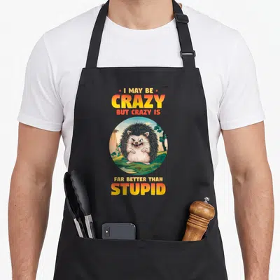 Introverted stupid aprons - Cartoon hedgehog in circle with orange yellow green grey text I may be crazy but crazy is — shown on a black cotton canvas apron against a white background