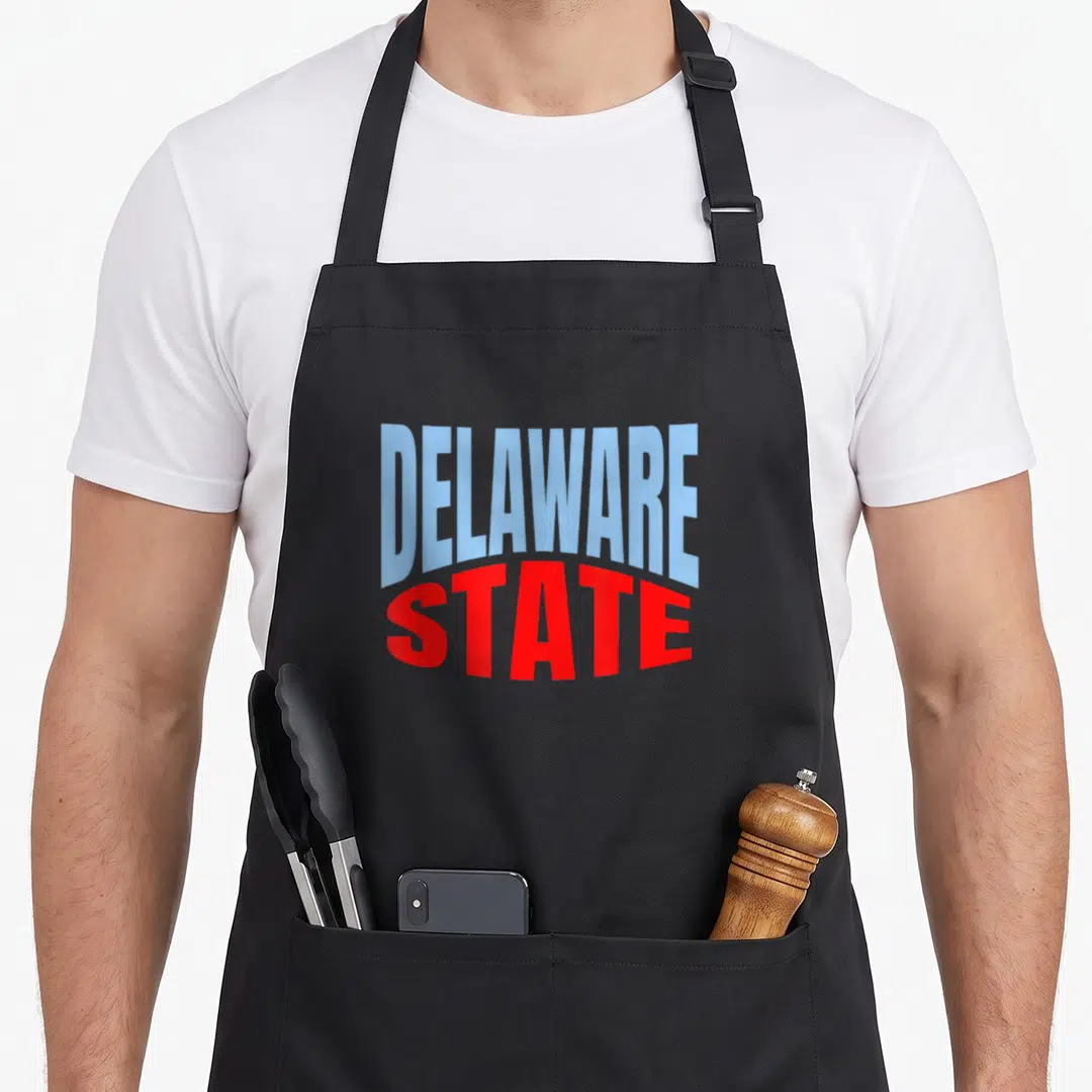 Delaware travel aprons - Stacked DELAWARE STATE text in light blue and red with two front pockets — shown on a black cotton canvas apron against a white background