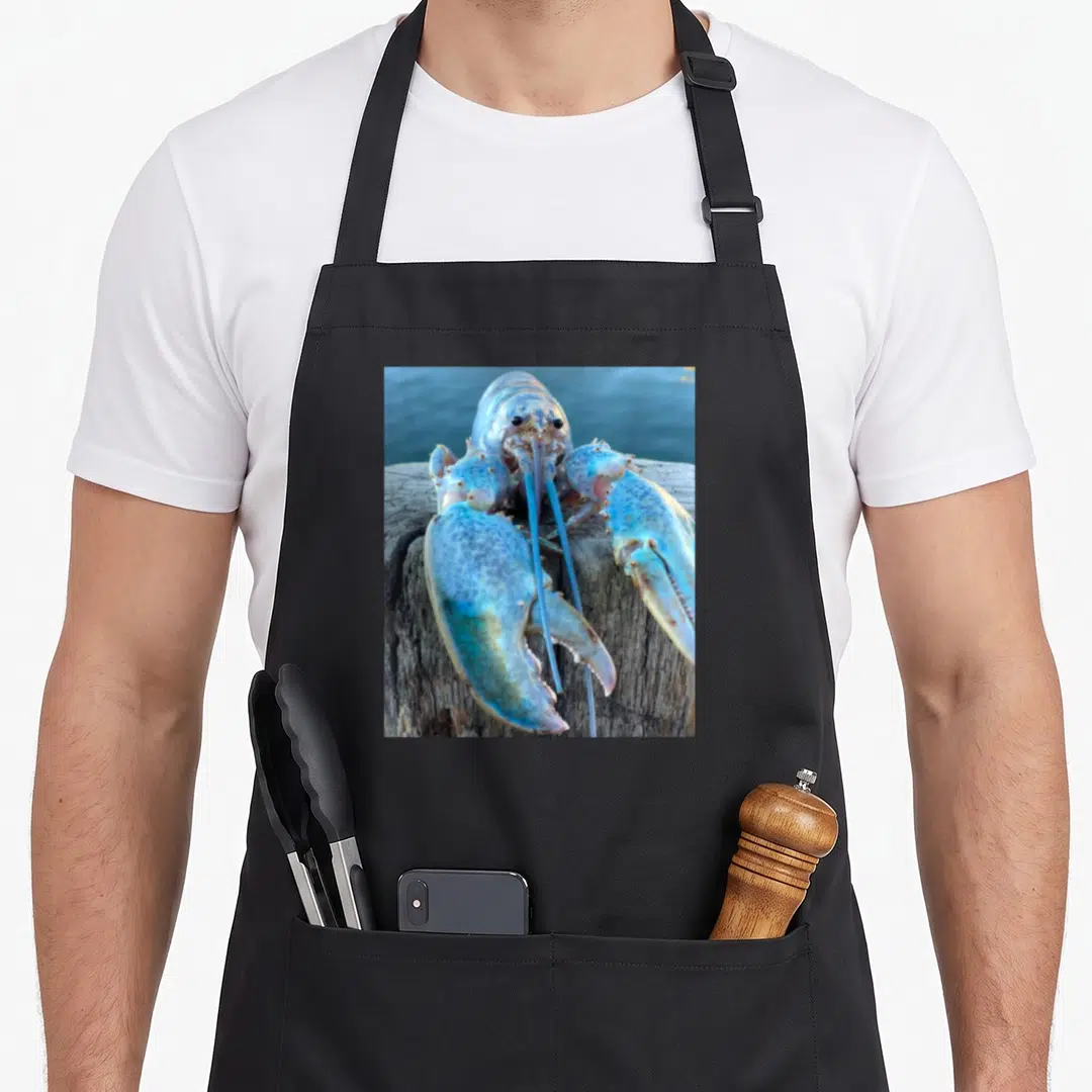 Jumpscare lobster apron - Rare blue lobster perched on weathered wooden post in realistic photo style — shown on a black cotton canvas apron against a white background