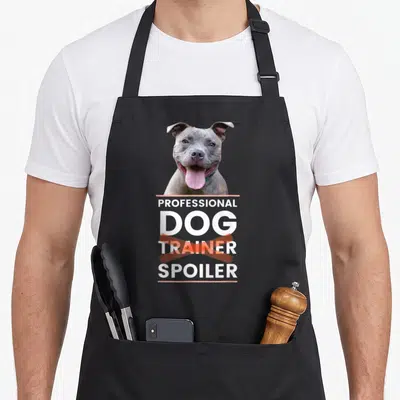 Pitbull dog trainer apron - Grey pitbull photo above white text reading PROFESSIONAL DOG TRAINER SPOILER crossed out — shown on a black cotton canvas apron against a white background