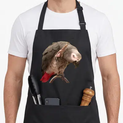 Waving african aprons - Grey parrot perched on silver bar with red tail feathers lifting one foot — shown on a black cotton canvas apron against a white background