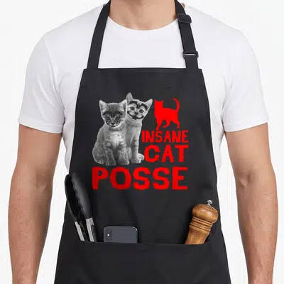 Insane cat apron - Two grey kittens beside red silhouette and stacked insane cat posse lettering — shown on a black cotton canvas apron against a white background