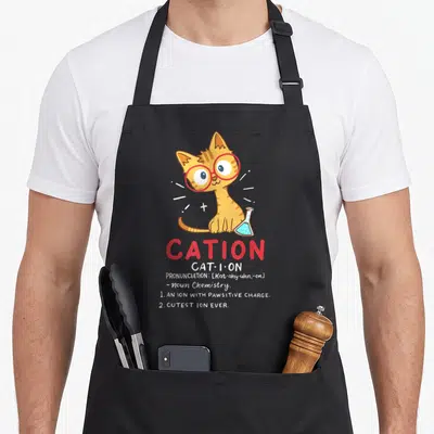 Cation cat apron - Orange cartoon cat with red glasses sitting next to blue flask with CATION dictionary text — shown on a black cotton canvas apron against a white background