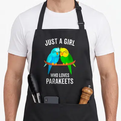 Pet bird apron - Two cartoon parakeets one blue one yellow perched on a branch under white text reading Just A Girl Who — shown on a black cotton canvas apron against a white background