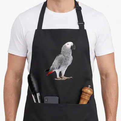 Parrot bird african aprons - Photo of African Grey Parrot with grey feathers and red tail on black apron — shown on a black cotton canvas apron against a white background