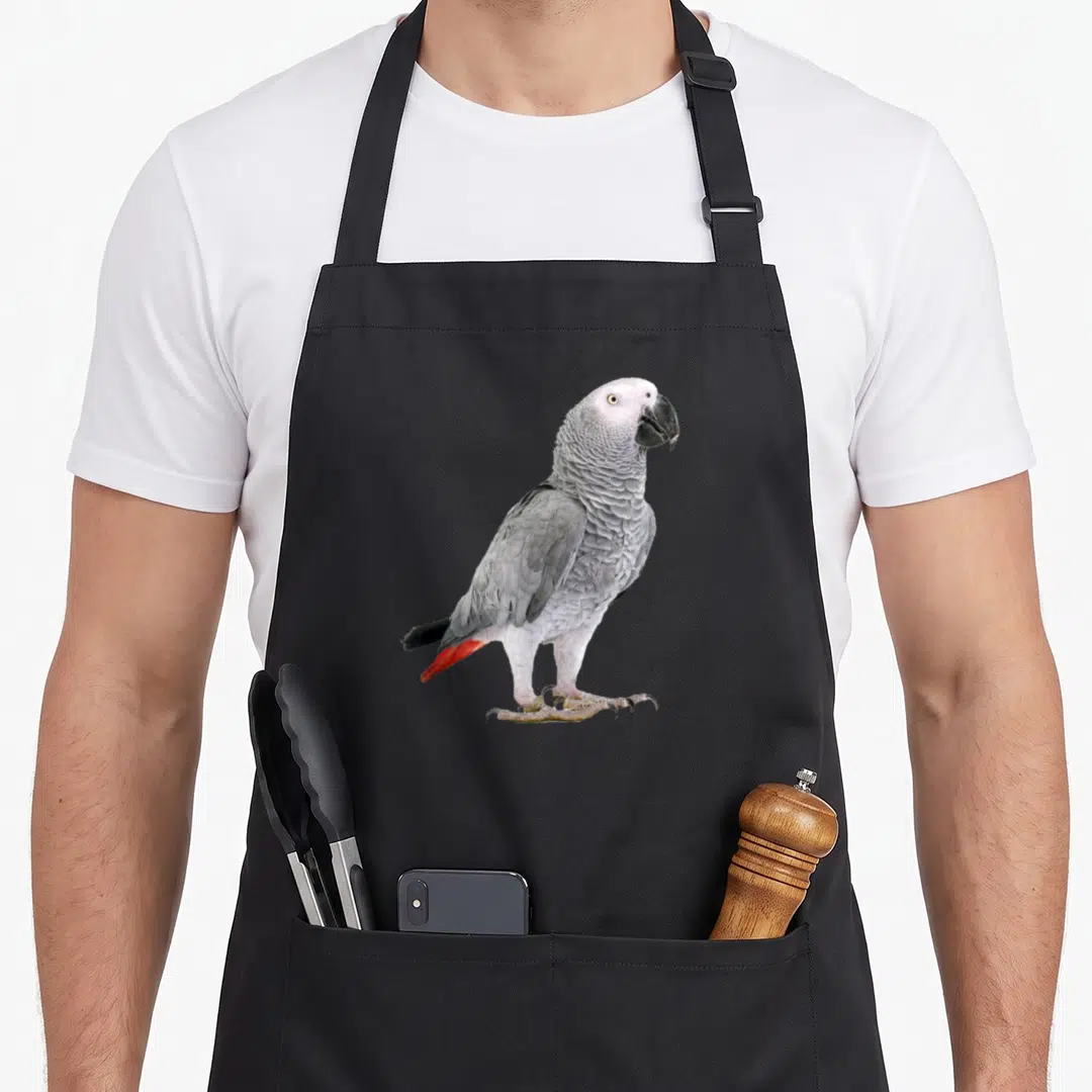 Parrot bird african aprons - Photo of African Grey Parrot with grey feathers and red tail on black apron — shown on a black cotton canvas apron against a white background
