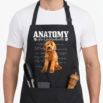 Anatomy dog doodle goldendoodle apron - Diagram of a goldendoodle with labels pointing to snack detector and majestic — shown on a black cotton canvas apron against a white background
