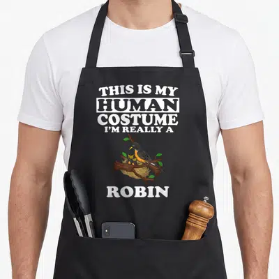 Robin bird apron - Cartoon robin and chicks in nest with text This Is My Human Costume I'm Really A Robin — shown on a black cotton canvas apron against a white background