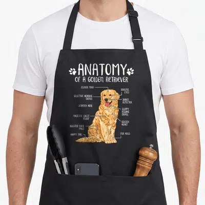 Anatomy golden retriever apron - Diagram of a golden retriever with labels pointing to snack detector and happy tail — shown on a black cotton canvas apron against a white background
