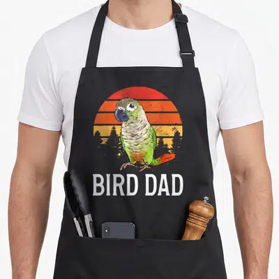 Conure parrot bird apron - Retro parrot on striped sun with BIRD DAD text in white block letters — shown on a black cotton canvas apron against a white background