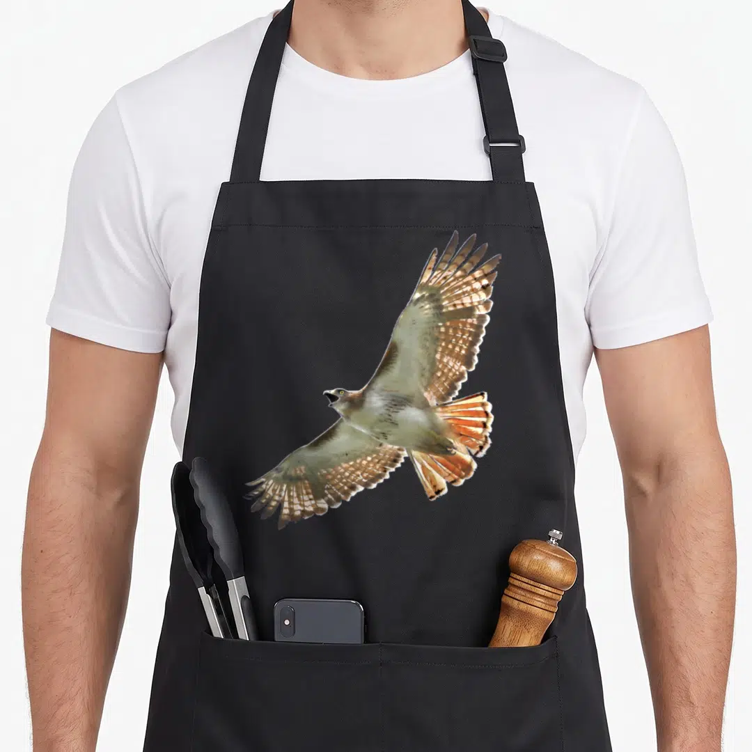 Tail hawk lover apron - Photo of a flying hawk with brown, white, and tan wings centered on fabric — shown on a black cotton canvas apron against a white background