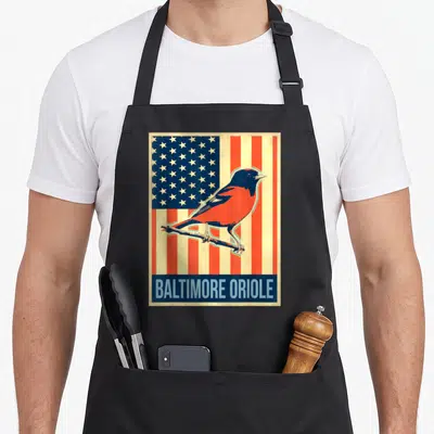 Baltimore us aprons - Retro Baltimore Oriole bird perched on branch over USA flag with blue text bar — shown on a black cotton canvas apron against a white background