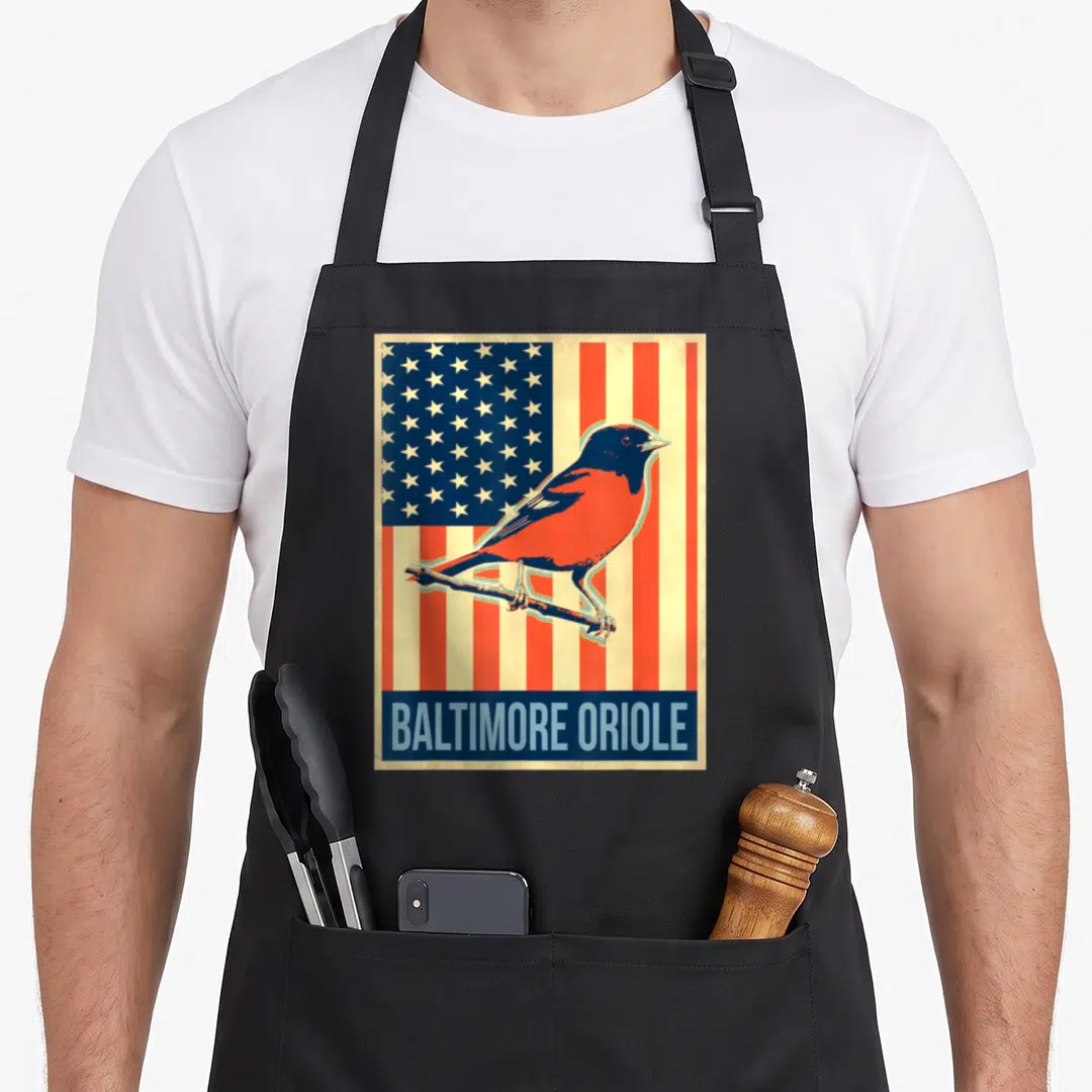 Baltimore us aprons - Retro Baltimore Oriole bird perched on branch over USA flag with blue text bar — shown on a black cotton canvas apron against a white background