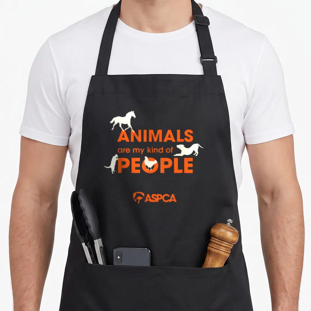 Kind animal apron - Orange text Animals are my kind of People with white horse dog cat and chicken silhouettes — shown on a black cotton canvas apron against a white background