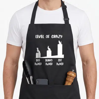 Level cat apron - White graphic of dog, bunny, and cat on rising pillars with text Level of Crazy — shown on a black cotton canvas apron against a white background