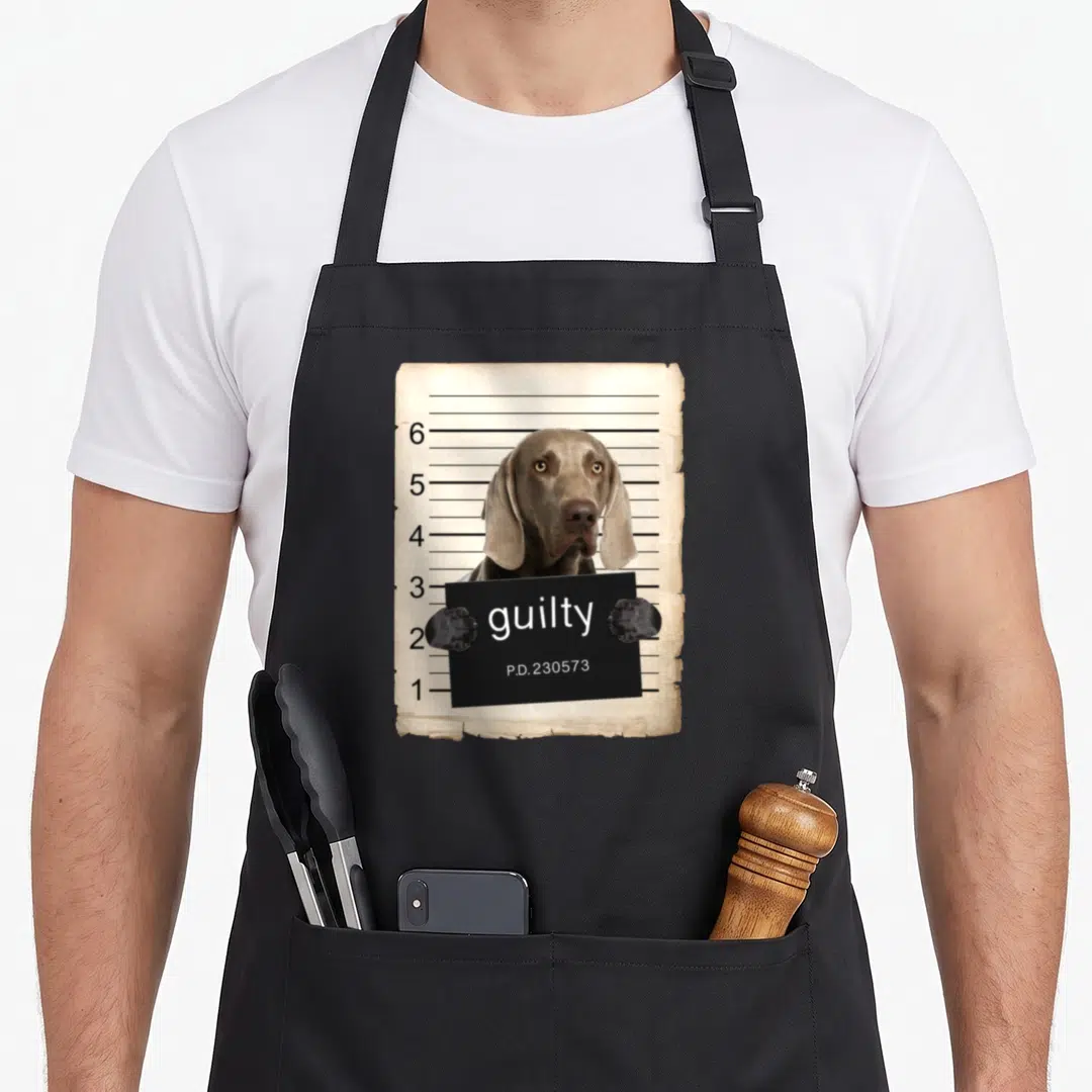 Weimaraner mug dog apron - Grey dog holding black guilty sign in front of numbered height chart on aged paper — shown on a black cotton canvas apron against a white background