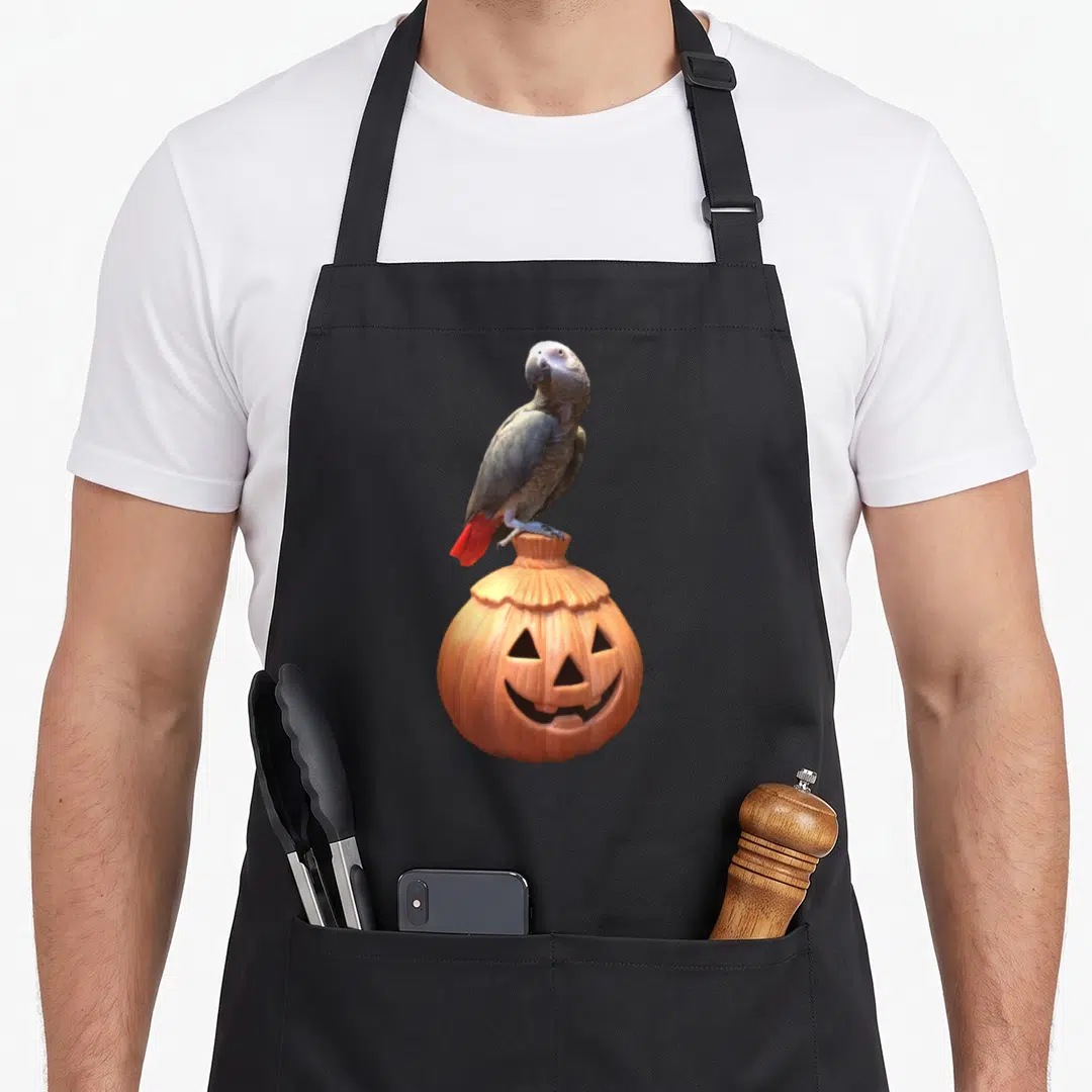 Jack african aprons - Grey parrot with red tail perched on orange carved jack-o-lantern pumpkin — shown on a black cotton canvas apron against a white background