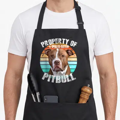 Pitbull bull apron - Brown white pitbull head inside orange teal striped circle with Property of Spoiled Rotten text — shown on a black cotton canvas apron against a white background