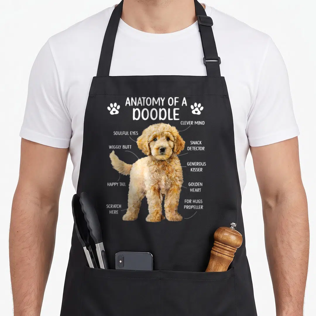Anatomy goldendoodle apron - Realistic doodle diagram with labels snack detector and wiggly butt connected by white — shown on a black cotton canvas apron against a white background