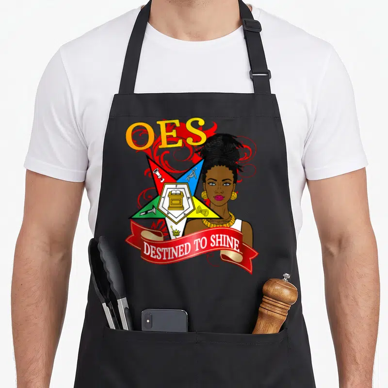 Eastern mason apron - OES DESTINED TO SHINE ribbon, five-pointed star with symbols, woman high bun cartoon — shown on a black cotton canvas apron against a white background