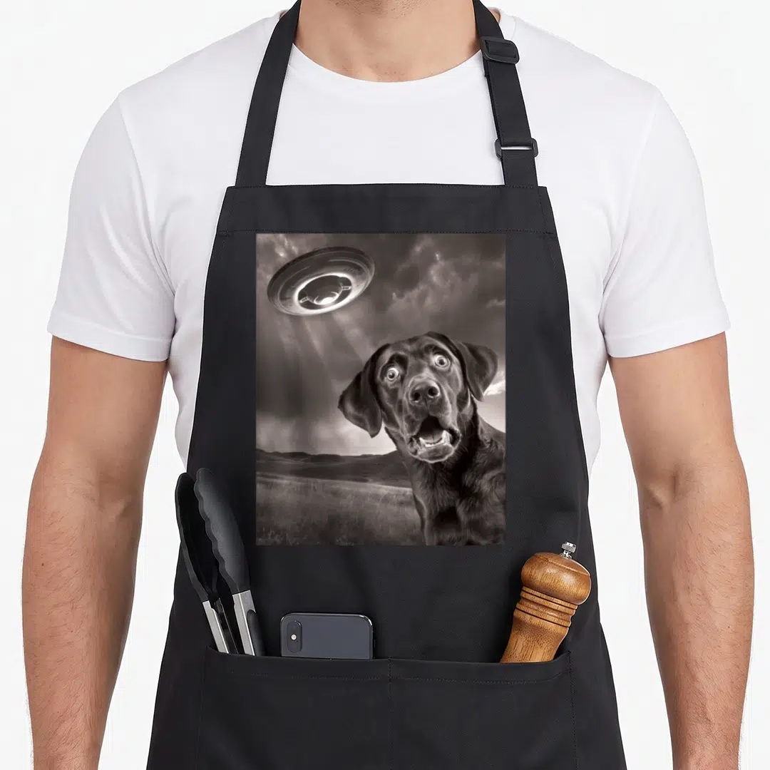 Ufo labrador apron - Surprised black lab dog looking up at UFO hovering over hills in grayscale photo — shown on a black cotton canvas apron against a white background