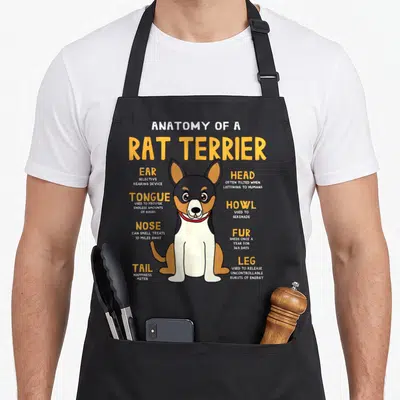 Rat terrier dog apron - Cartoon Rat Terrier anatomy chart with labels for ear, tail, nose, and leg functions in yellow — shown on a black cotton canvas apron against a white background