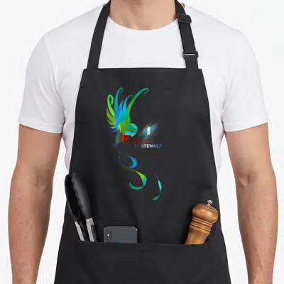 Guatemala bird apron - Stylized quetzal bird in green blue red with QUETZAL GUATEMALA text — shown on a black cotton canvas apron against a white background