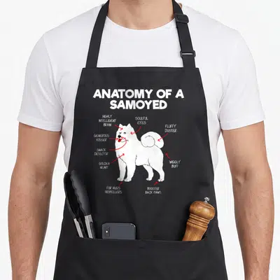 Anatomy dog breed aprons - Samoyed diagram with red arrows pointing to labels like snack detector and golden heart — shown on a black cotton canvas apron against a white background