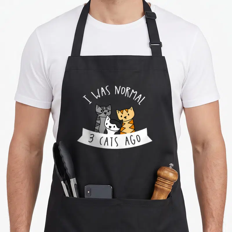 Normal cat apron - Three cartoon cats in grey, orange, black, and white with text I WAS NORMAL 3 CATS AGO — shown on a black cotton canvas apron against a white background