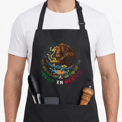 Viva mexican mexico apron - Eagle perched on cactus holding snake with MECHO EN MEXICO text in distressed green white — shown on a black cotton canvas apron against a white background
