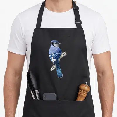 Jay bird apron - Realistic blue jay perched on beige branch in blue white black and beige colors — shown on a black cotton canvas apron against a white background