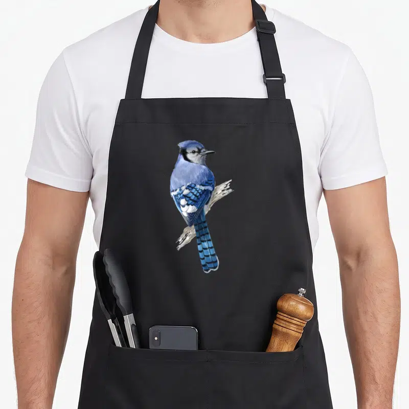 Jay bird apron - Realistic blue jay perched on beige branch in blue white black and beige colors — shown on a black cotton canvas apron against a white background
