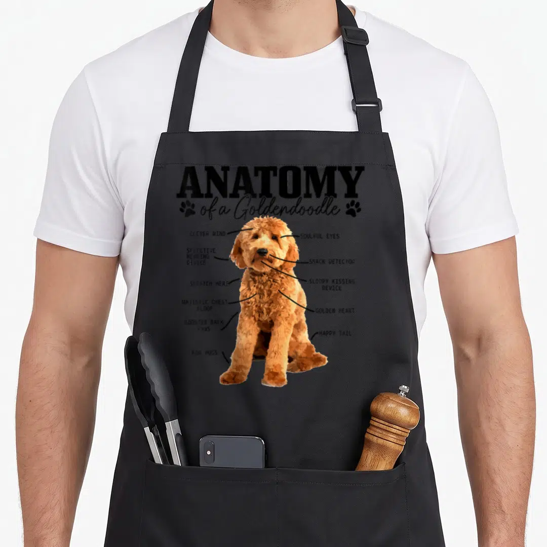 Anatomy dog goldendoodle apron - Cartoon goldendoodle diagram with labels for snack detector and sloppy kissing device — shown on a black cotton canvas apron against a white background