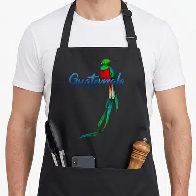Quetzal guatemala apron - Realistic bird in blue green red feathers next to blue Guatemala script — shown on a black cotton canvas apron against a white background